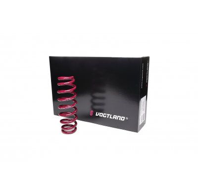 Muelles rebajados Vogtland Skoda  Superb 3T AÑO: 06.2008 -  REBAJA: 40 / 40