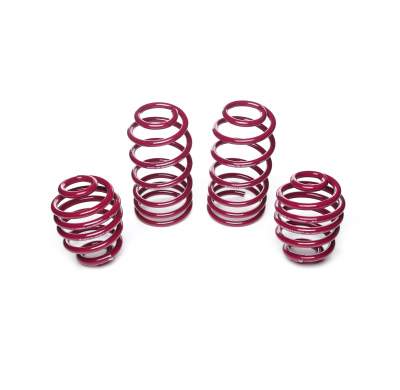 Muelles rebajados Vogtland VW  Bora 1J AÑO: 11.1998 - 12.2004 REBAJA: 40 / 40