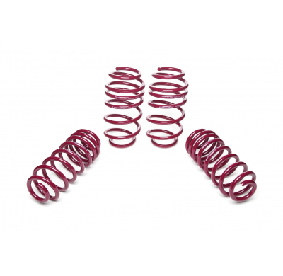 Muelles rebajados Vogtland VW  Golf V 1KP AÑO: 02.2005 -  REBAJA: 35 / 35