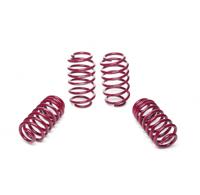 Muelles rebajados Vogtland Audi  TT 8J AÑO: 04.2006 - 09.2014 REBAJA: 30 / 30