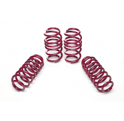 Muelles rebajados Vogtland Audi  A5 8K (B8) AÑO: 06.2007 -  REBAJA: 30 / 20