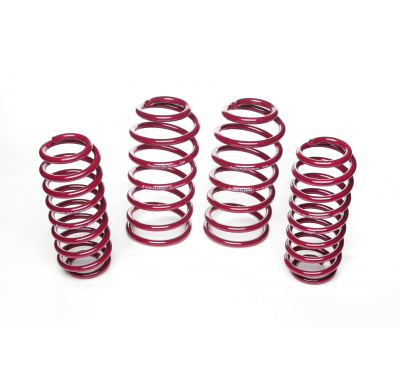 Muelles rebajados Vogtland Audi  TT 8N AÑO: 10.1998 - 04.2006 REBAJA: 35 / 35