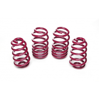 Muelles rebajados Vogtland Seat  Exeo 3R, 6RN AÑO: 11.2009 -  REBAJA: 40 / 40