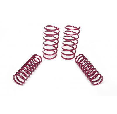 Muelles rebajados Vogtland BMW  5er, E34 5/H AÑO: 07.1990 - 03.1997 REBAJA: 40 / 20