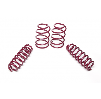 Muelles rebajados Vogtland BMW  1er, E81 / E87 187, 1K2, 1K4 AÑO: 09.2004 - 06.2012 REBAJA: 40 / 25