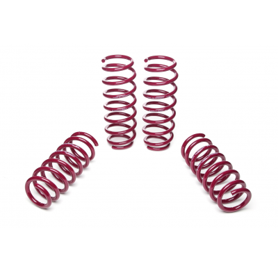 Muelles rebajados Vogtland BMW  5er, F10 5L AÑO: 01.2010 -  REBAJA: 30 / 30