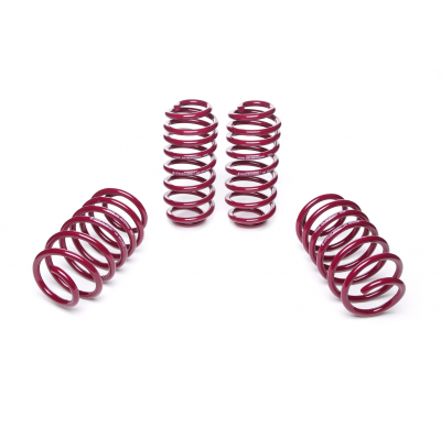 Muelles rebajados Vogtland VW  Golf V 1K AÑO: 10.2003 - 09.2008 REBAJA: 50 / 30