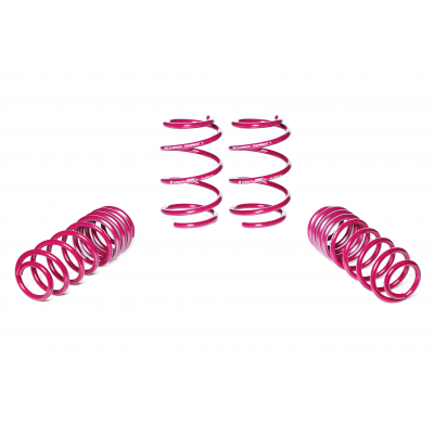 Muelles rebajados Vogtland VW  Polo 6, AW, GTI AÑO: 11.2017 -  REBAJA: 30 / 30