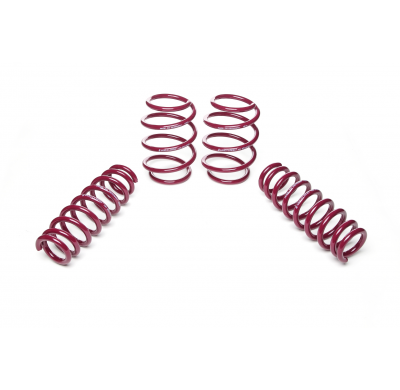 Muelles rebajados Vogtland BMW  3er GT, F34 3-V AÑO: 2013 -  REBAJA: 30 / 30