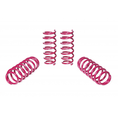 Muelles rebajados Vogtland BMW  5er, G30 G5L AÑO: 02.2017 -  REBAJA: 30 / 30