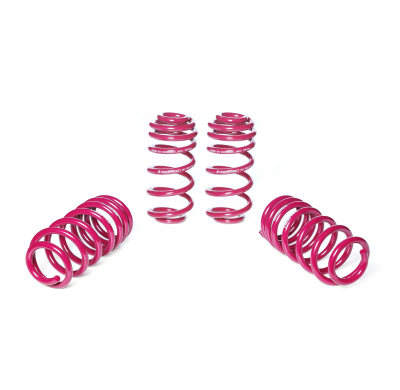 Muelles rebajados Vogtland Audi  A5 F5 B9 (B8, B81), RS5 AÑO: 03.2019 -  REBAJA: 20 / 20