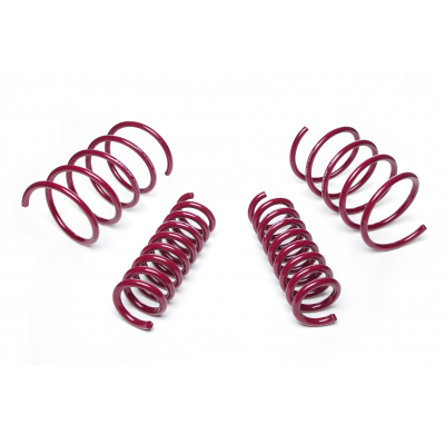 Muelles rebajados Vogtland Mercedes Benz CLK W209 AÑO: 03.2002 -  REBAJA: 30 / 30