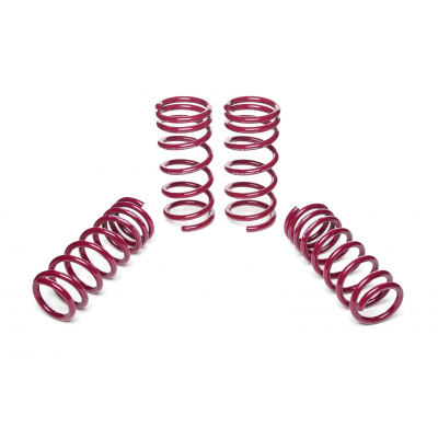 Muelles rebajados Vogtland Nissan  350Z Z33 AÑO: 09.2003 - 12.2008 REBAJA: 30 / 30