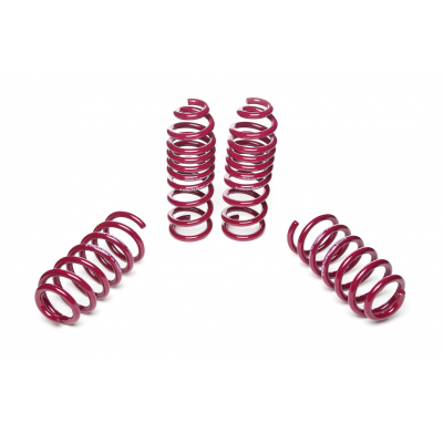 Muelles rebajados Vogtland Mercedes Benz C-Klasse W205, S205 AÑO: 02.2014 -  REBAJA: 30 / 30