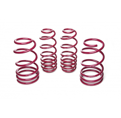 Muelles rebajados Vogtland Ford  Mustang S197 AÑO: 2005 - 2014 REBAJA: 30 / 30