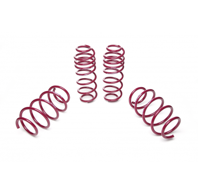 Muelles rebajados Vogtland Ford  Fiesta ST JA8 AÑO: 2013 -  REBAJA: 25 / 25