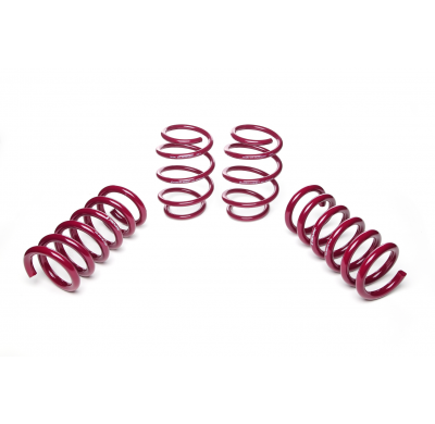 Muelles rebajados Vogtland Ford  Mustang S550 AÑO: 2015 -  REBAJA: 25 / 25