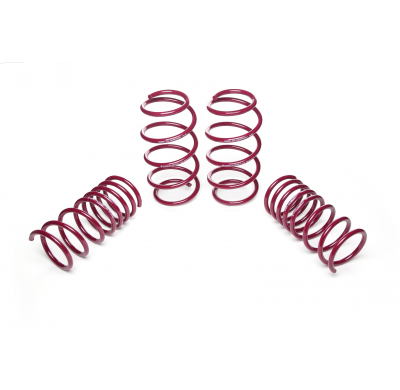 Muelles rebajados Vogtland Fiat  500 312, Abarth AÑO: 10.2007 -  REBAJA: 20 / 25