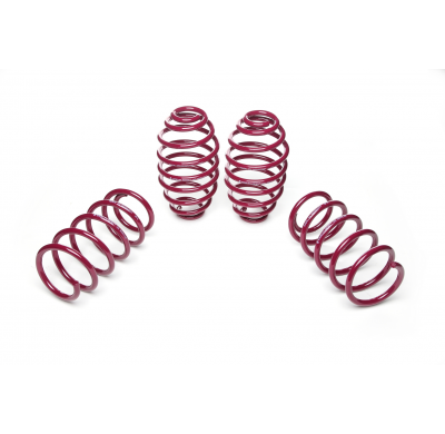 Muelles rebajados Vogtland Opel  Astra H AÑO: 02.2006 - 11.2010 REBAJA: 35 / 35