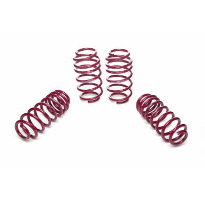 Muelles rebajados Vogtland Skoda  Superb 3T AÑO: 06.2008 -  REBAJA: 40 / 40