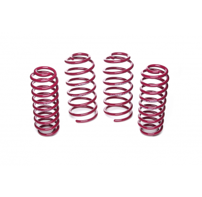 Muelles rebajados Vogtland VW  Bora 1J AÑO: 11.1998 - 09.2005 REBAJA: 40 / 40