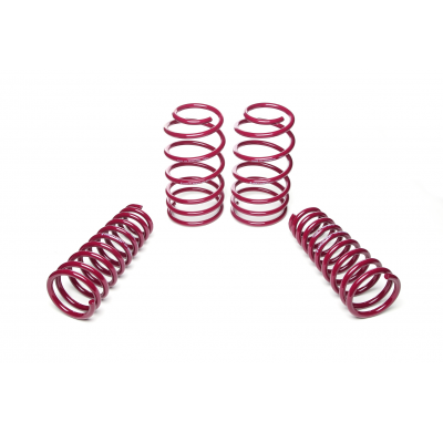 Muelles rebajados Vogtland Mazda  3 BK AÑO: 10.2003 - 02.2009 REBAJA: 40 / 40