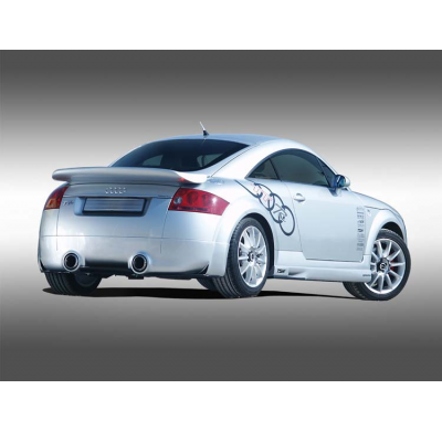 Añadido Trasero + Flap Ajustable  + Flaps En Carbono Audi Tt Fiber/Carb Tüv El Tiempo De Entrega De Este Producto Puede Ser De 1