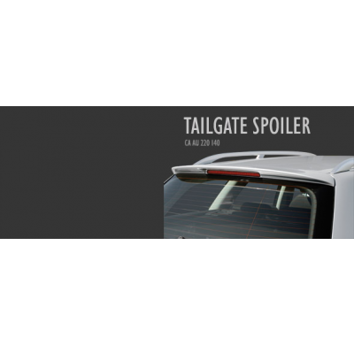 Alerón Superior Techo Audi A4 Avant (2005 Nuevo Modelo) Caractere El Tiempo De Espera De Este Producto Puede Ser De 1-2 Semanas