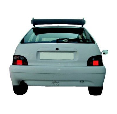 Alerones Traseros Sin Luz Citroen Saxo Visera Tipo Kit-Car