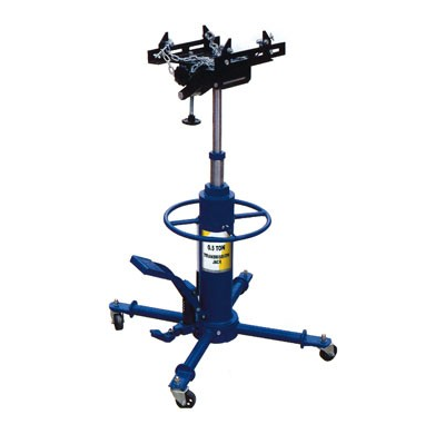 Gato De Foso, 500 Kilos