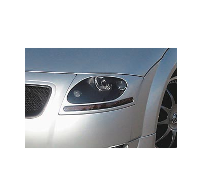 Mascaras Delanteras   Audi Tt Rsx El Tiempo De Espera De Este Producto Puede Ser De 2 Semanas