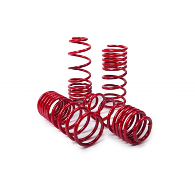 Muelles Mts Technik Peugeot Rifter 2018- 25/50mm