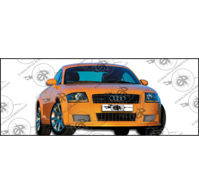 Parachoques Delantero Audi Tt