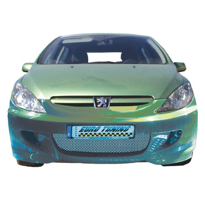 Paragolpes Delantero Peugeot 307