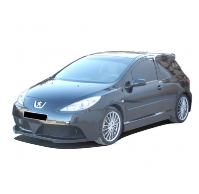 Paragolpes Delantero Peugeot 307 Futuriste