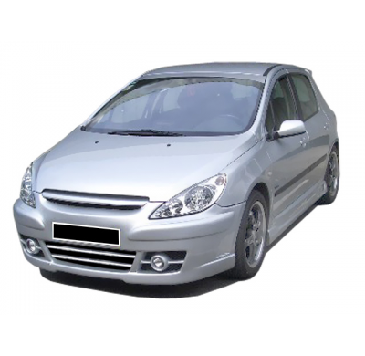 Paragolpes Delantero Peugeot 307 Vega Iii