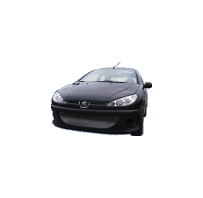 Paragolpes Delantero Vbumper Pe 206 Sport-Look + Gaas