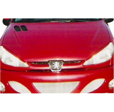 Pestanas Peugeot 206.