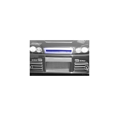 Rejillas Capo  Fiat Punto 2-B Model Evo  3  (for 3-5 Doors)                                                         Poliuretano