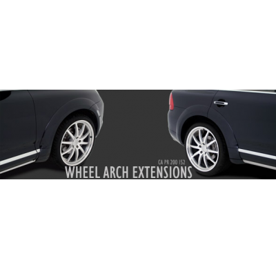 Set De Extensiones De Aletas  Porche Cayenne Caractere El Tiempo De Espera De Este Producto Puede Ser De 1-2 Semanas Según Dispo