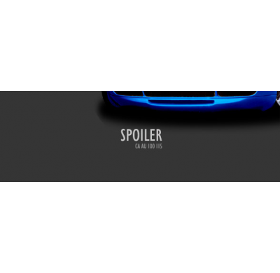 Spoiler Delantero  Audi A4 Berlina B5 (96) Y (97) Caractere El Tiempo De Espera De Este Producto Puede Ser De 1-2 Semanas Según