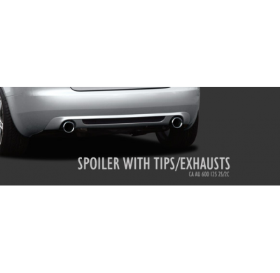 Spoiler Trasero Con Dos Salidas Inox Para 1,8t;2,0 Tfsi; 3,2 Fsi Audi A4 Cabrio (8h) 2006 Caractere El Tiempo De Espera De Este