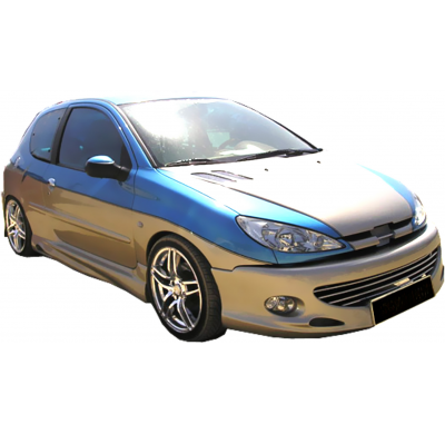 Taloneras Peugeot 206 Flash