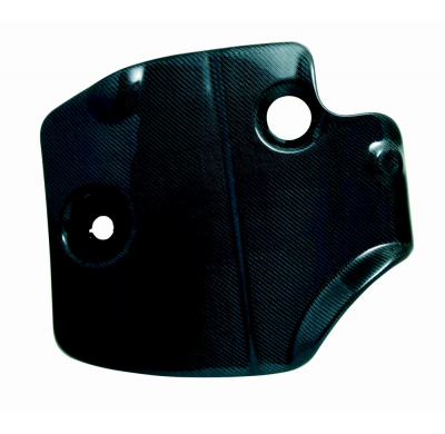 Tapa Motor Carbono Carbon Vag 1.9tdi