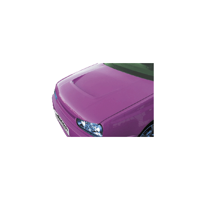 Toma Capot Motorkap Vw Golf Iii + Intake