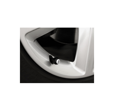 Válvulas  Eight-Ball _ Negro