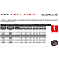 Bateria Blackbull 12tb110 Monobloc Placa Tubular Tb Tb - Monobloc Tubular De Pb Abierto Ciclo Profundo  12v - Blackbull. El Robu