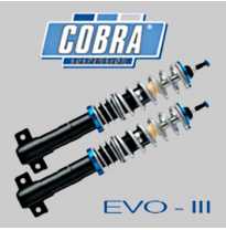 Kit roscado Cobra EVO-III Lotus Exige S2 COUPE 2004-2013 S2 Baja Delante:mm Baja detrás:mm